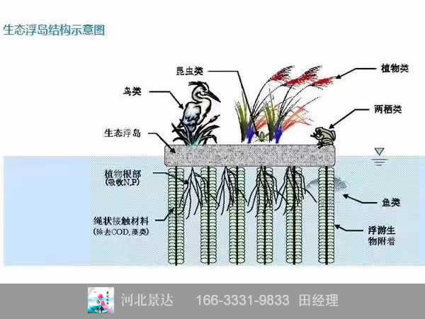 人工生態浮島